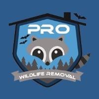 Pro Wildlife Removal image 6